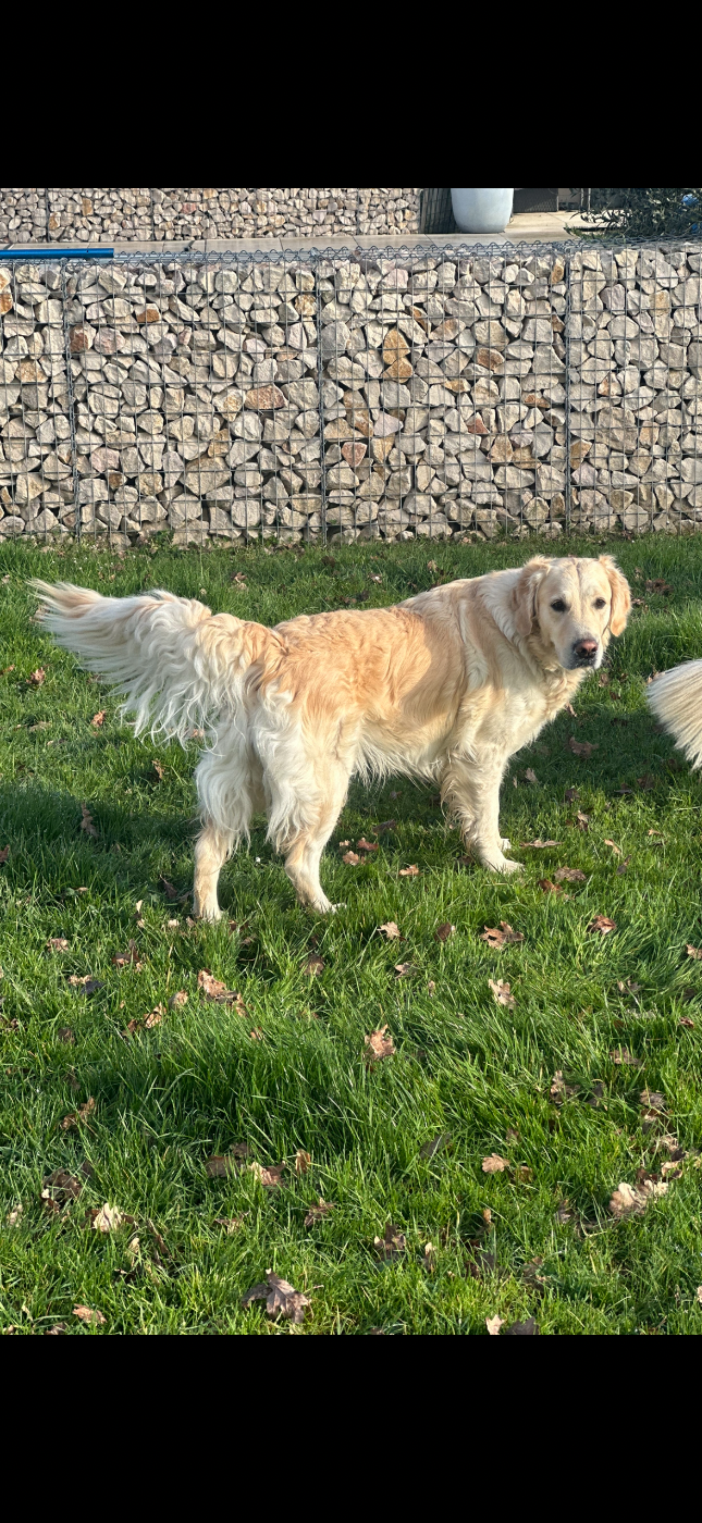 Tornade Du Pré De Maloé